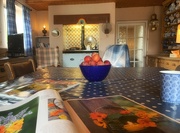16th Aug 2020 - A bowl of plums
