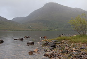 4th Aug 2020 - Loch Maree