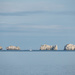 Clear Day at the Needles by humphreyhippo