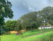 17th Aug 2020 - Stormy skies