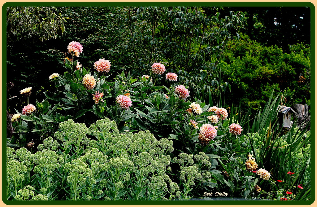 Flowers in pink by vernabeth