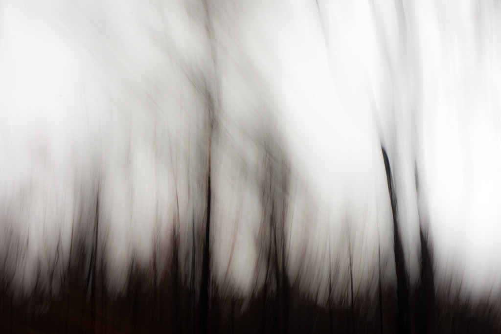 Tree Abstract 7 by annied