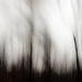 Tree Abstract 7 by annied