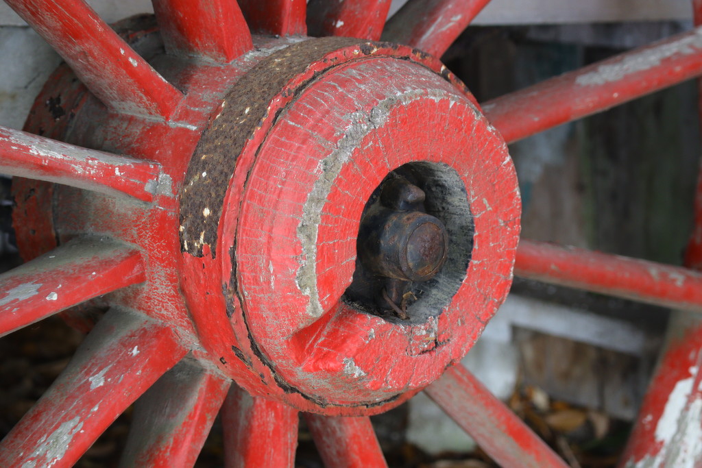 The dray wheel by sandradavies