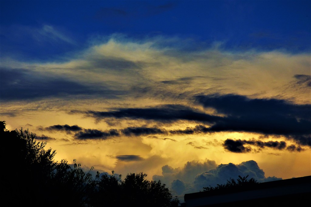 Evening sky  by beryl