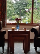 18th Aug 2020 - A seat in the lounge