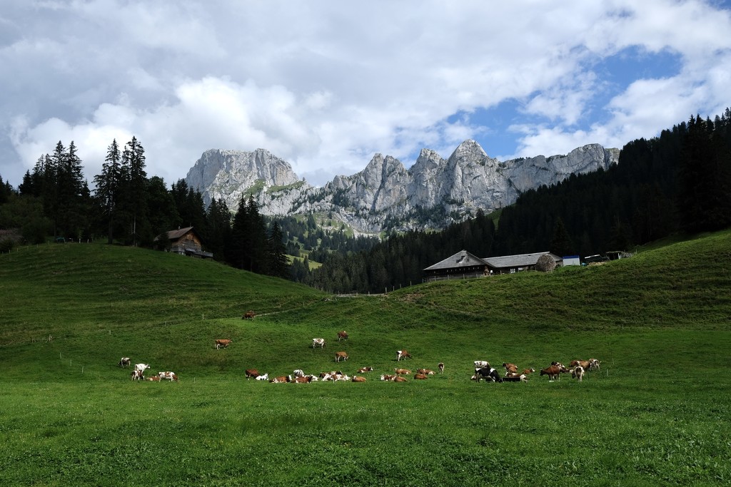 Landscape with Dent de Savigny by vincent24