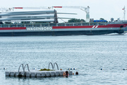 18th Aug 2020 - Shipping and Swimming in the St. Lawrence