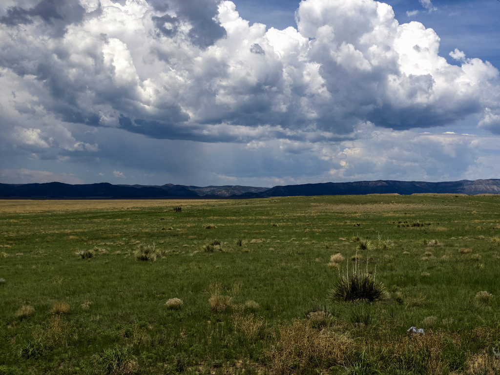 Into New Mexico by jeffjones