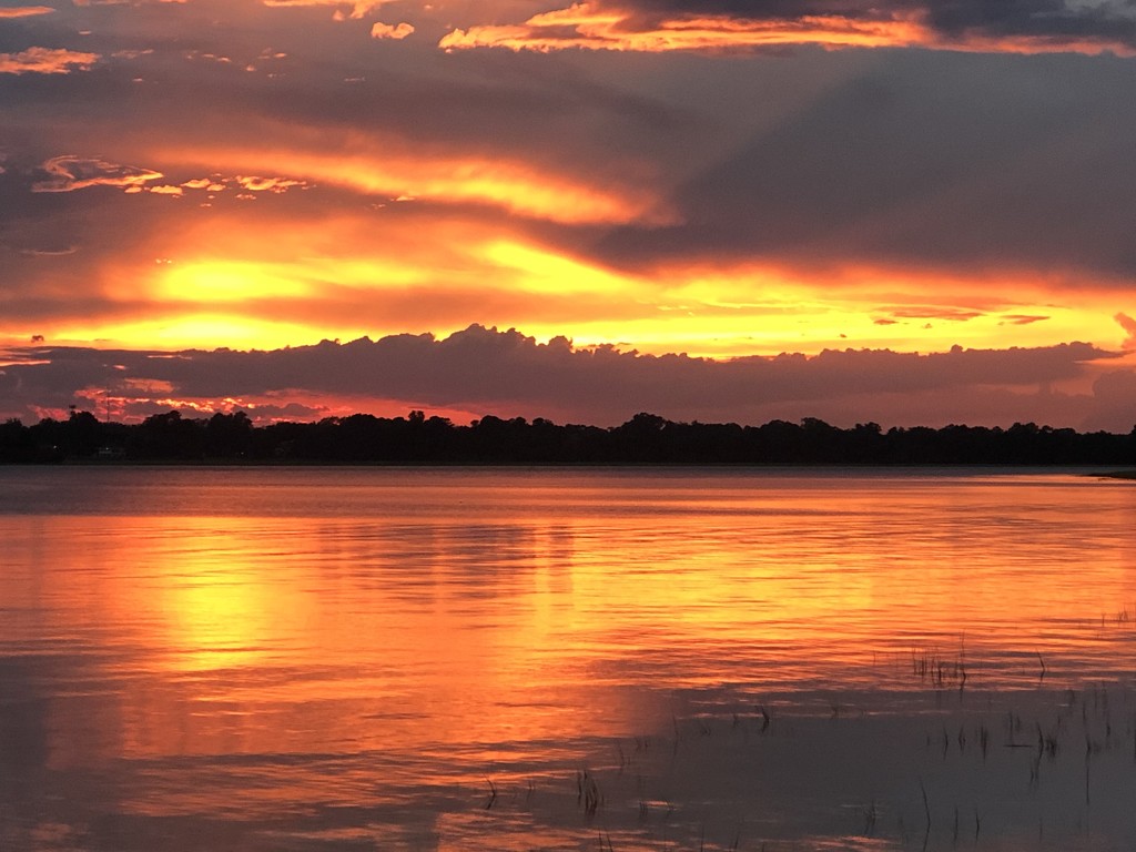 Sunset over the Ashley River and marshes at high tide by congaree