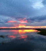 19th Aug 2020 - Sunset over the Ashley River and marshes at high tide