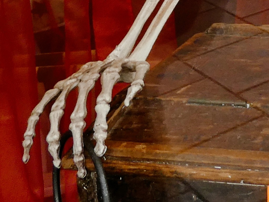 Skeleton Hand by allsop