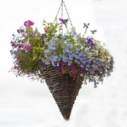 19th Aug 2020 - Basket of Flowers