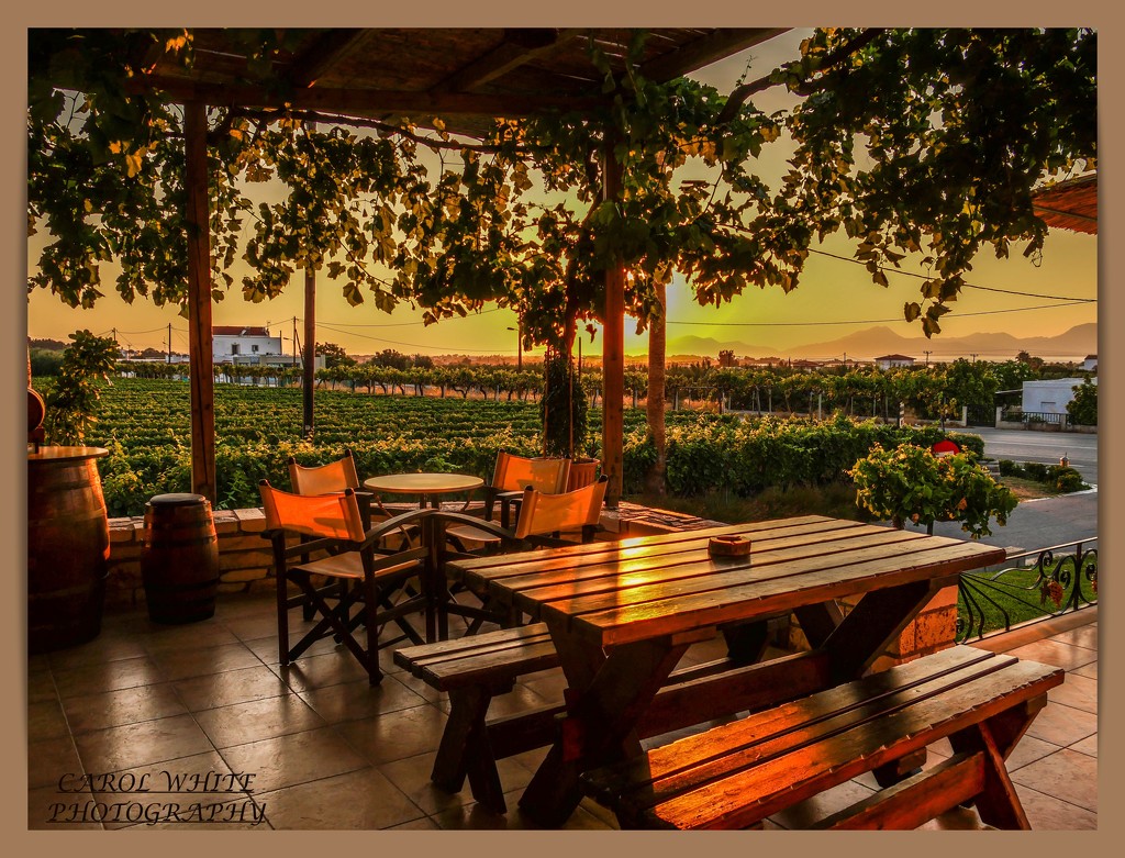 Sunset At The Winery by carolmw