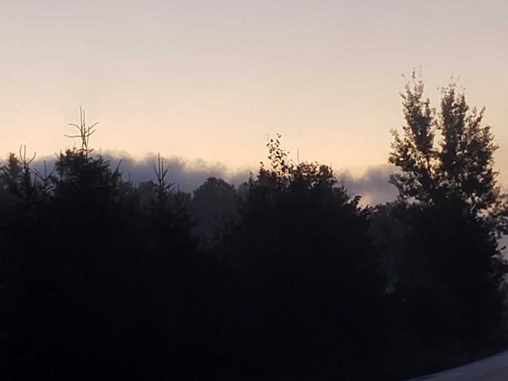 Foggy Evening by waltzingmarie