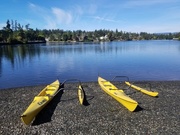 19th Aug 2020 - Outrigger Canoes Ready