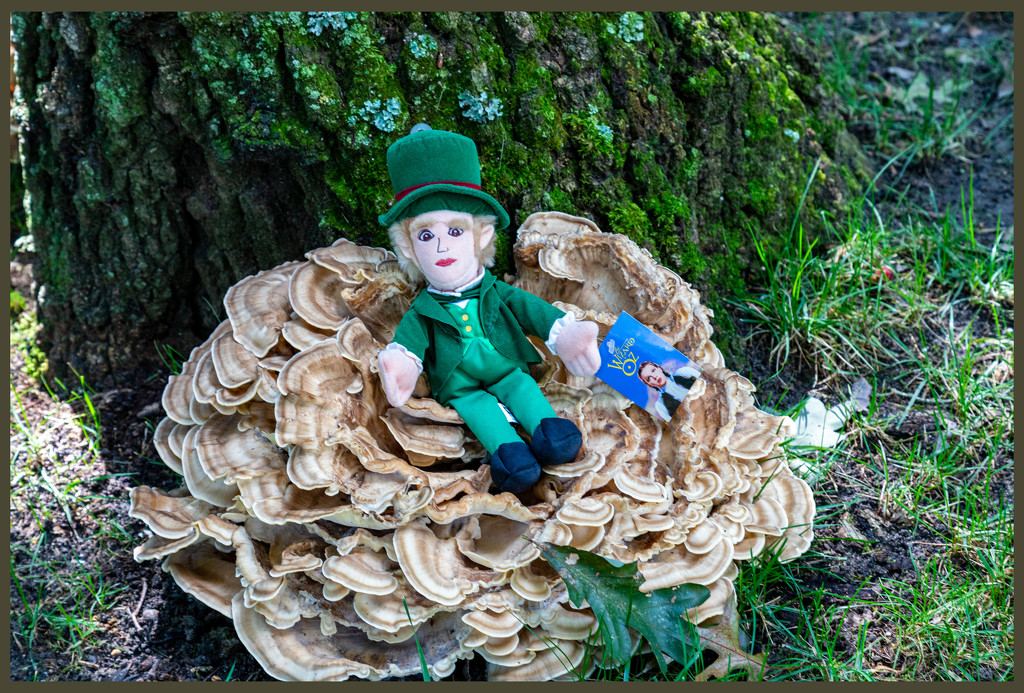 Wizard on Mushroom by hjbenson