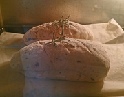 21st Mar 2020 - Olive Bread
