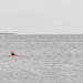 Lone Kayaker on the Open Water by taffy