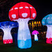 Glow in the dark Mushrooms by yorkshirekiwi