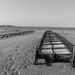 Oyster Beds by onewing