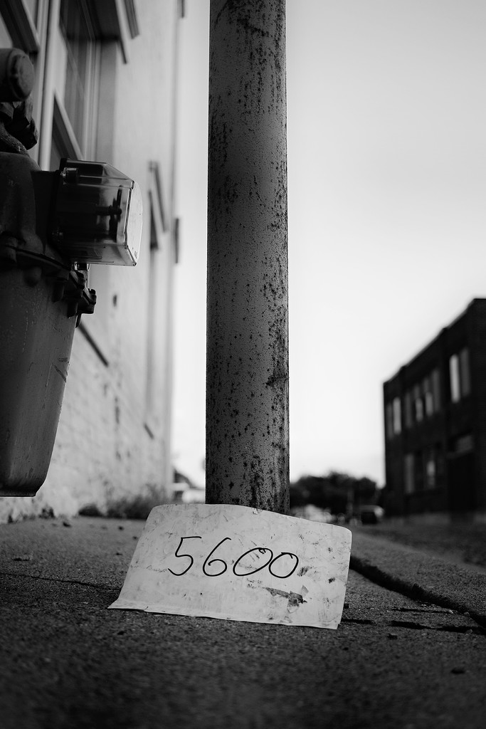 5600 by juliedduncan