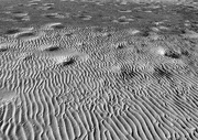 21st Aug 2020 - Ripples in the Sand