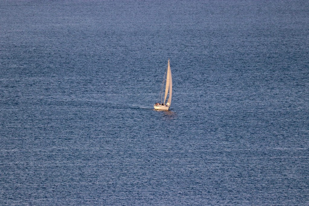 Set sail by lisasavill