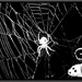 Millie the Magnificent Explores a Spider Web in the Dark of Night by olivetreeann
