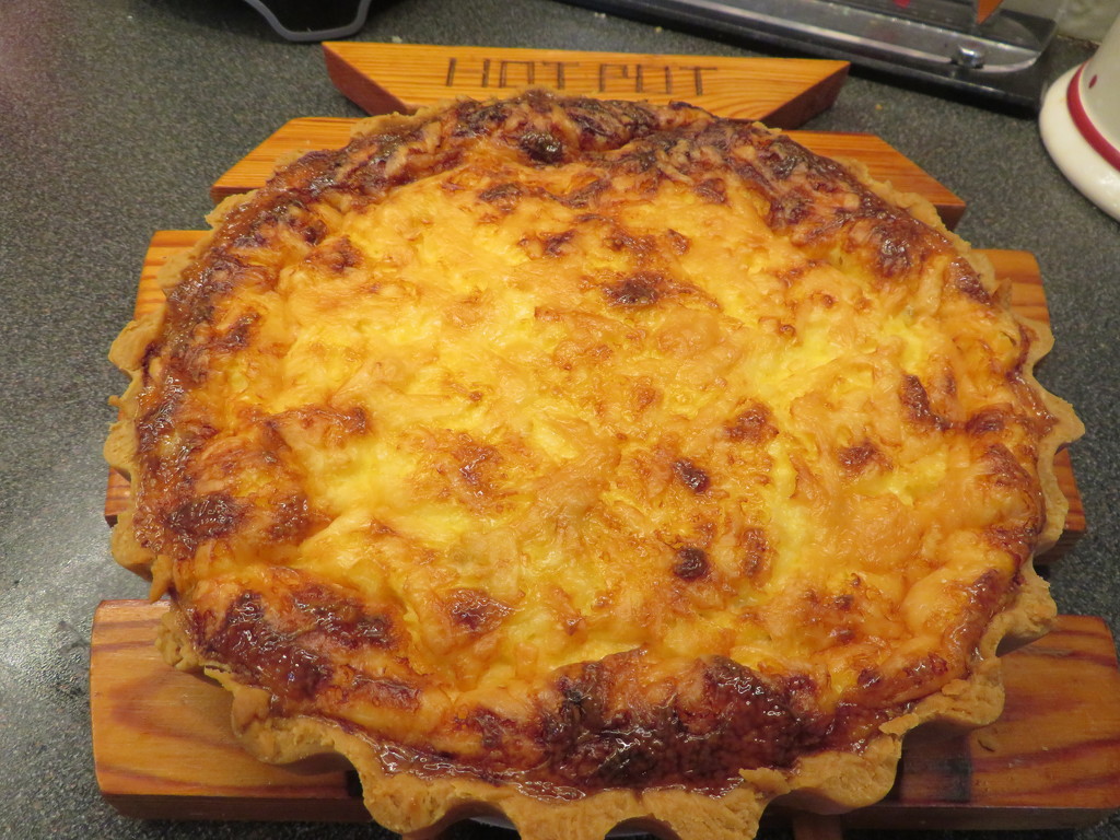 Cheese and onion tart by lellie