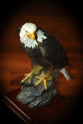 22nd Aug 2020 - Eagle toy