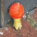 Mushroom by sfeldphotos