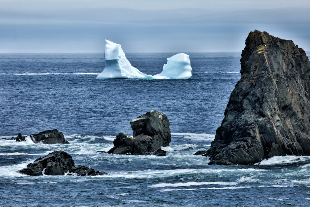 Iceberg ahoy  by pamknowler