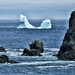 Iceberg ahoy  by pamknowler