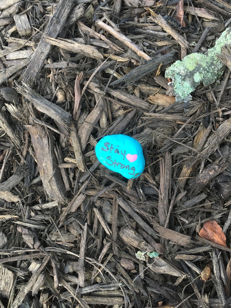 found this little message in the garden outside school today by wiesnerbeth