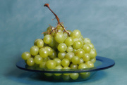23rd Aug 2020 - Still life with grapes
