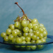 Still life with grapes by laroque