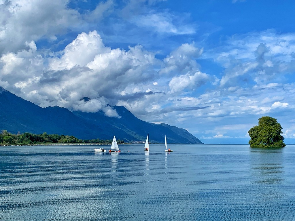 Sailors on lake Geneva.  by cocobella
