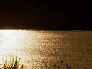 23rd Aug 2020 - sunrise on the lake