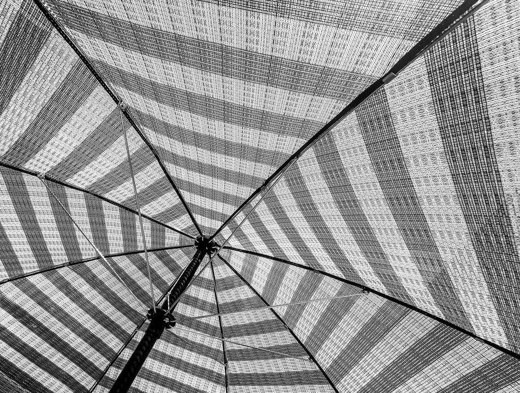 Umbrella by sprphotos