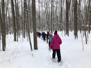11th Feb 2020 - A Snowshoeing Kind of Day