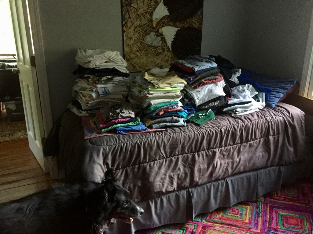 Let the t-shirt quilt project begin by margonaut