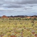 Pilbara Landscape by leestevo