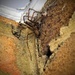 Sorry a huge spider alert! by bigmxx