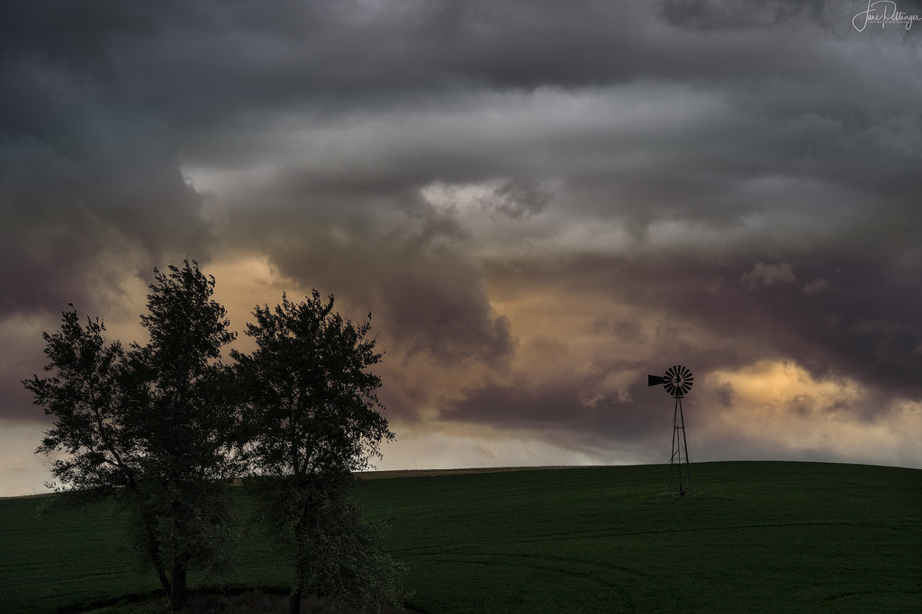 Silhouettes Against the Stormy Sky by jgpittenger