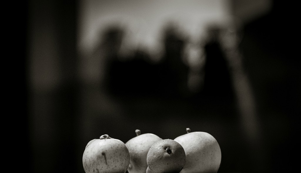 Windfalls and shadow shapes... by vignouse