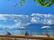 26th Aug 2020 - Sunbathing by the lake. 