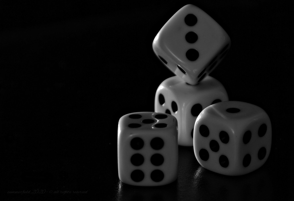 roll the dice by summerfield