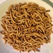 Mealworms.  by cocobella
