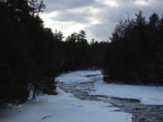 22nd Feb 2020 - Winter Creek